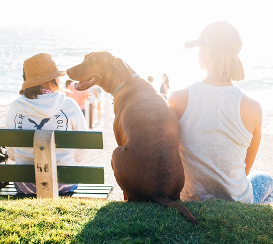 Woman with dog at Cottesloe beach