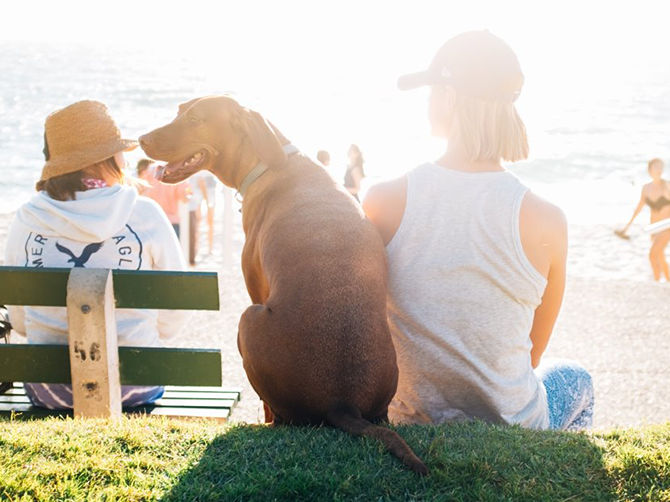 Woman with dog at Cottesloe beach