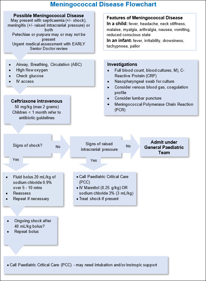 Meningococcal disease management flowchart